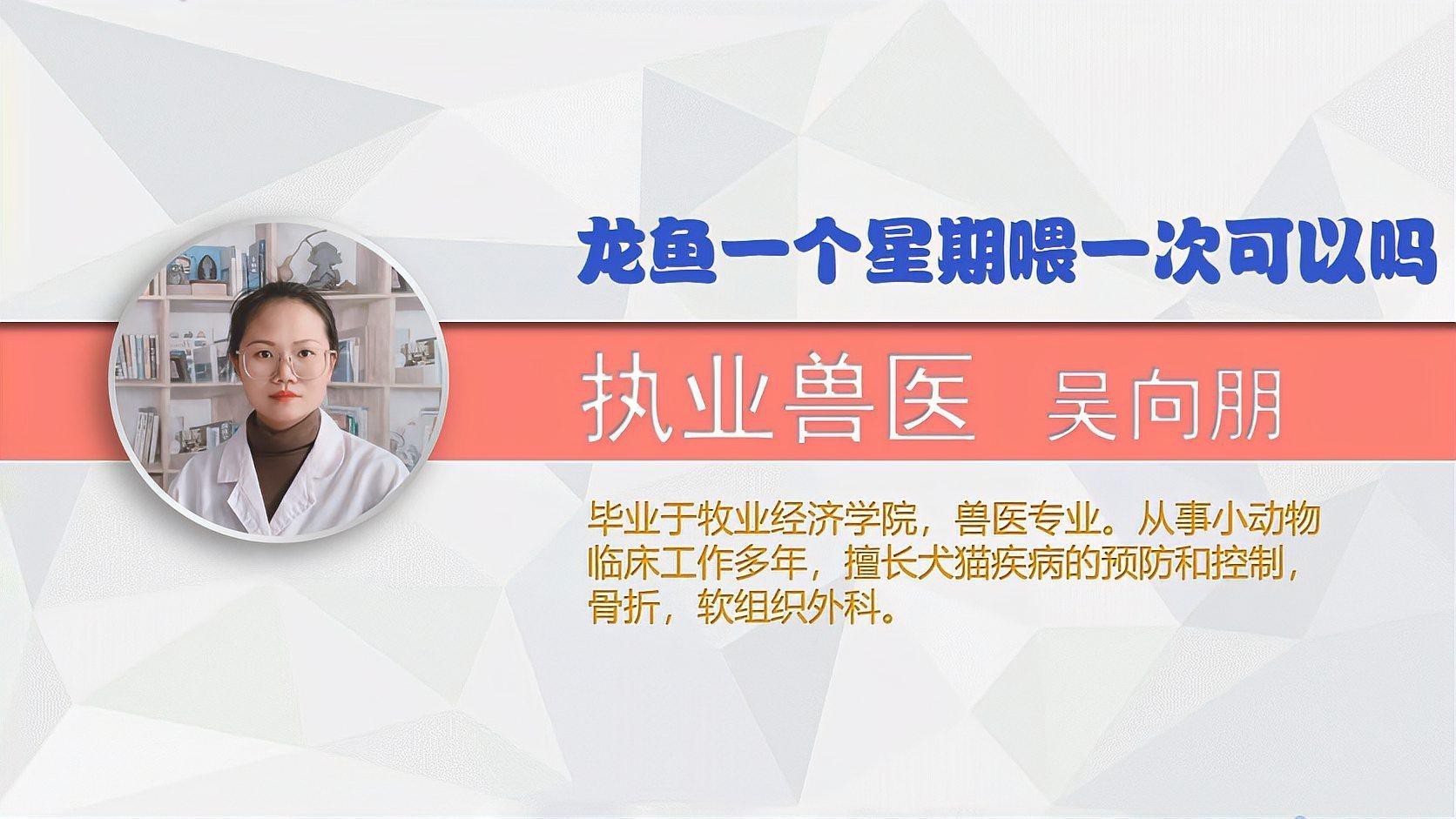 龍魚多久喂一次食物合適？【龍魚一個(gè)星期喂一次可以嗎萌寵保姆龍魚喂食技巧大揭秘】