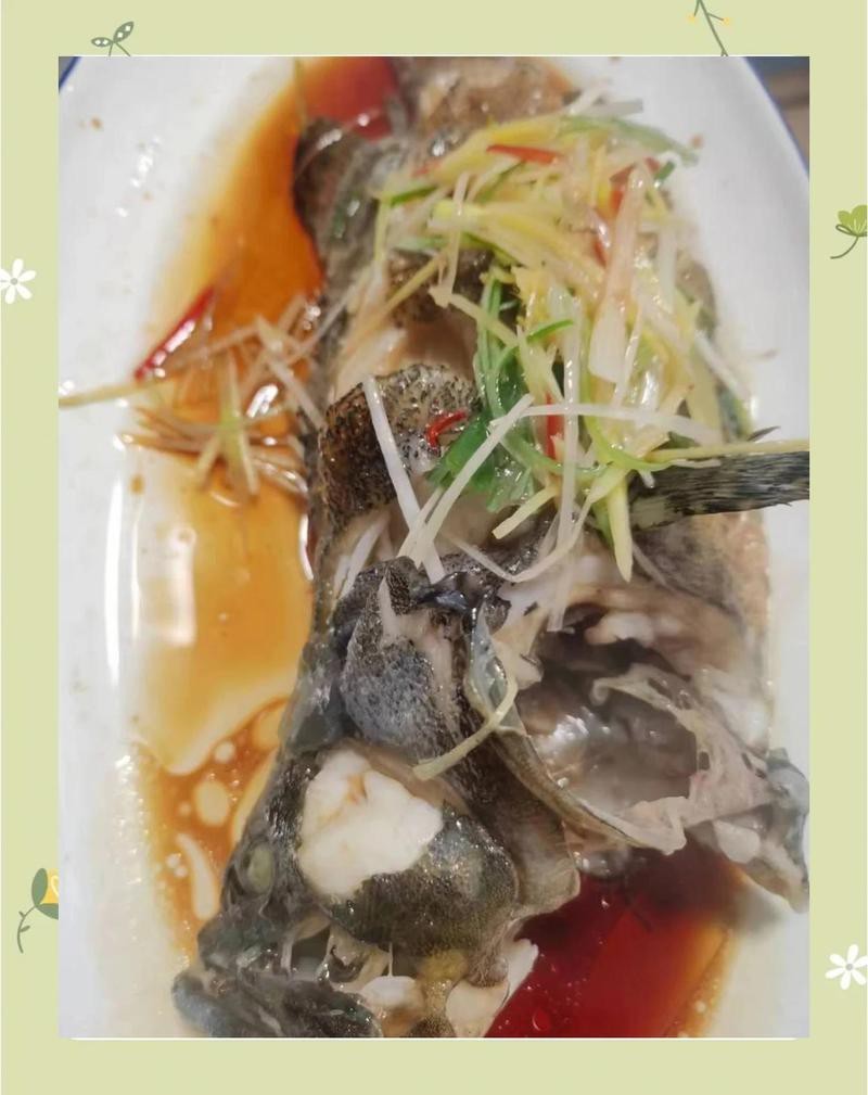 灌云龍魚店【灌云龍魚-祥龍魚場】 灌云龍魚店【灌云龍魚-祥龍魚場】 全國水族館企業(yè)名錄 第3張
