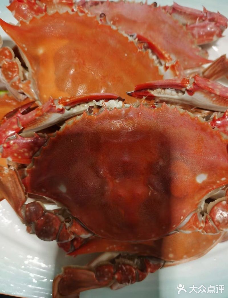 灌云龍魚店【灌云龍魚-祥龍魚場】 灌云龍魚店【灌云龍魚-祥龍魚場】 全國水族館企業(yè)名錄 第4張