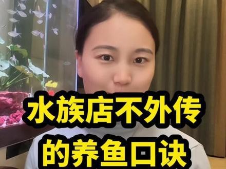 赤城水族店【愛企查赤城縣赤城鎮閩江水族魚館怎么樣】 赤城水族店【愛企查赤城縣赤城鎮閩江水族魚館怎么樣】 全國水族館企業名錄 第2張