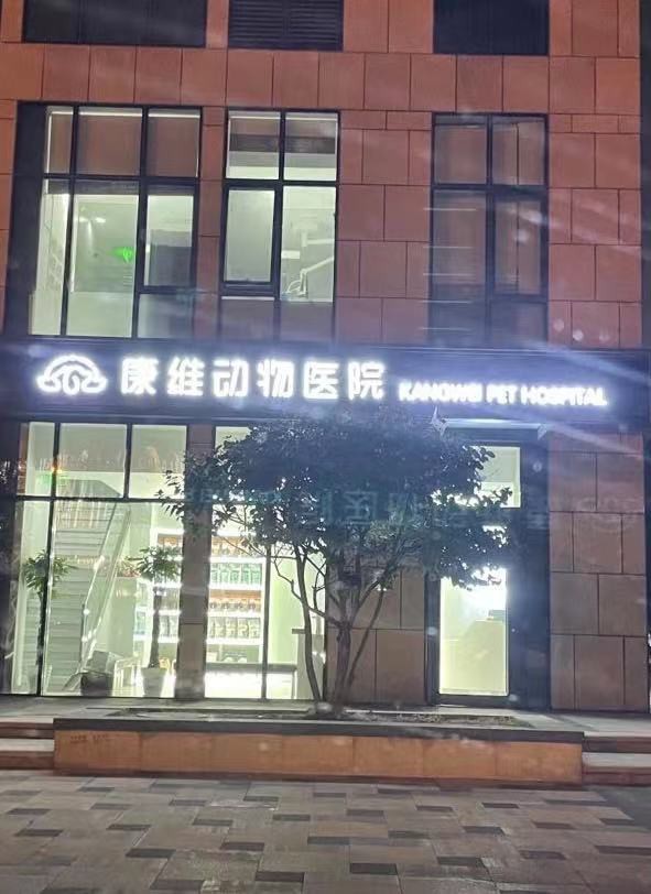 有哪些醫(yī)院擅長(zhǎng)治療龍魚(yú)蒙眼？【北京康維動(dòng)物醫(yī)院康維動(dòng)物醫(yī)院康維動(dòng)物醫(yī)院康維動(dòng)物醫(yī)院編輯】 有哪些醫(yī)院擅長(zhǎng)治療龍魚(yú)蒙眼？【北京康維動(dòng)物醫(yī)院康維動(dòng)物醫(yī)院康維動(dòng)物醫(yī)院康維動(dòng)物醫(yī)院編輯】 龍魚(yú)百科 第1張