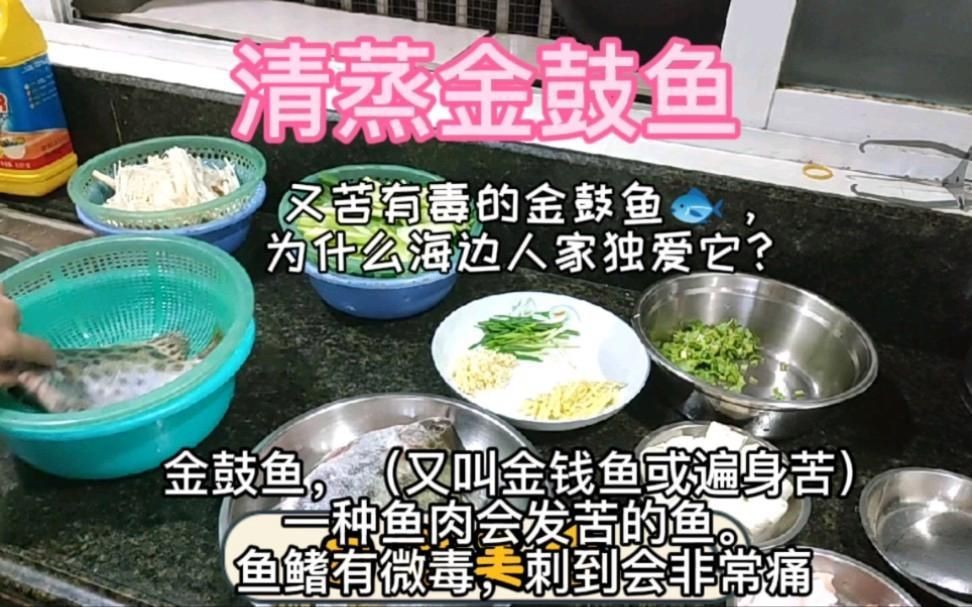 金鼓魚要怎么煮沒毒的【據說被這個魚扎一次痛三天，江師傅教你酸梅煮金鼓魚】