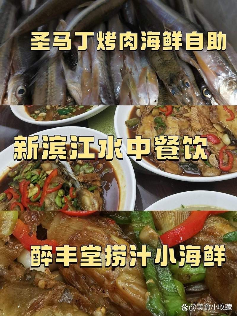 高港龍魚店【聚龍灣龍魚(廣州店)高港區(qū)有哪些水族市場(chǎng)】