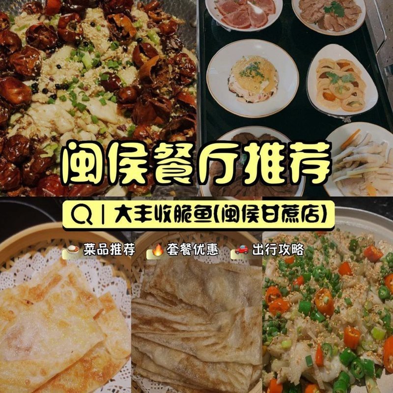閩侯龍魚店【福州哪里有專業的龍魚店】