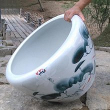 景德鎮(zhèn)水族店【景德鎮(zhèn)市林蔭水族館】