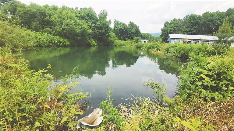 通河龍魚店【冰城漁家撒網松花江,把“開江第一鮮”化作鄉愁】 通河龍魚店【冰城漁家撒網松花江,把“開江第一鮮”化作鄉愁】 全國水族館企業名錄 第3張