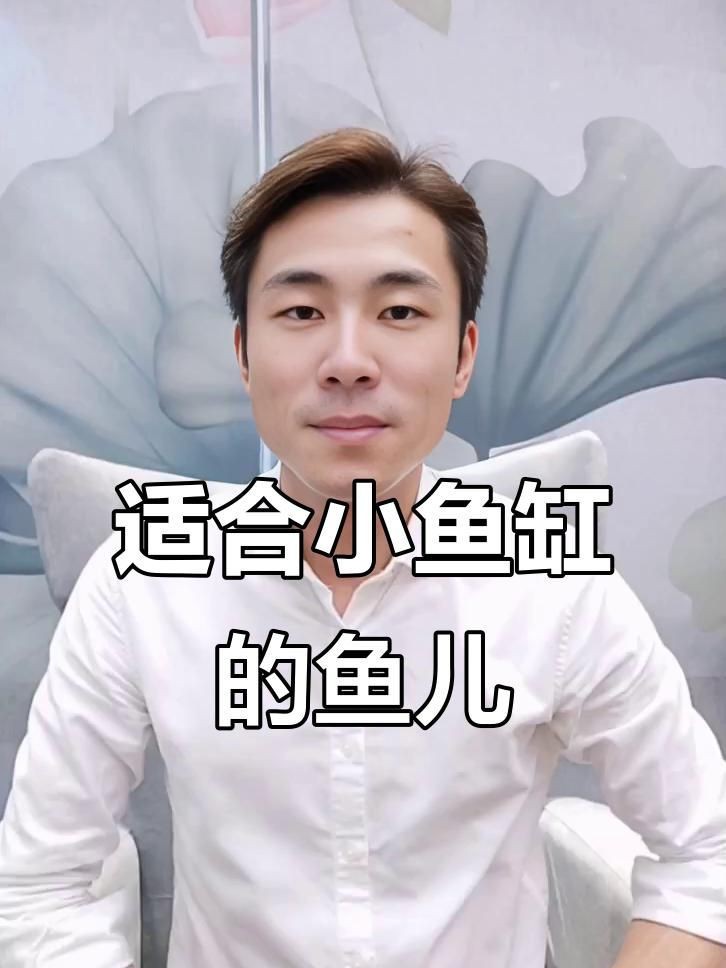 家庭小魚缸適合養什么魚【小魚缸里能養什么】 龍魚百科 第1張 家庭小魚缸適合養什么魚【小魚缸里能養什么】 家庭小魚缸適合養什么魚【小魚缸里能養什么】 龍魚百科 第1張