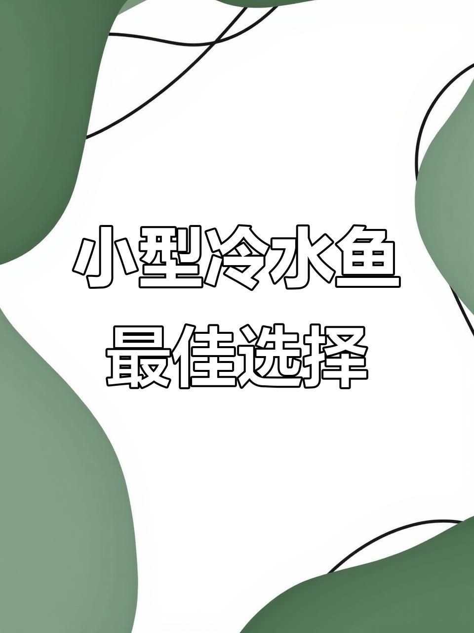 家庭小魚缸適合養什么魚【小魚缸里能養什么】 龍魚百科 第2張 家庭小魚缸適合養什么魚【小魚缸里能養什么】 家庭小魚缸適合養什么魚【小魚缸里能養什么】 龍魚百科 第2張