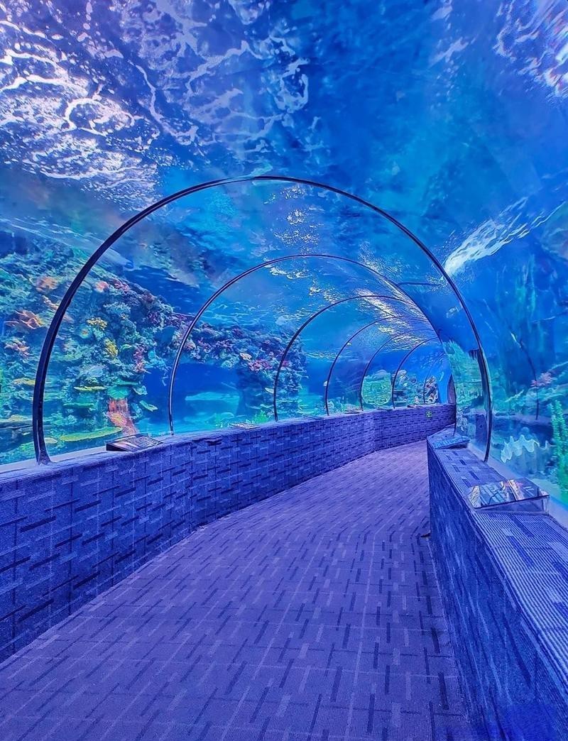 海北水族店【北海兩水族館，誰(shuí)更值愛(ài)生活的瀟瀟樂(lè)】 海北水族店【北海兩水族館，誰(shuí)更值愛(ài)生活的瀟瀟樂(lè)】 全國(guó)水族館企業(yè)名錄 第3張