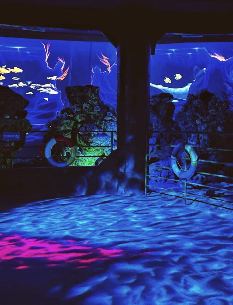 海北水族店【北海兩水族館，誰(shuí)更值愛(ài)生活的瀟瀟樂(lè)】 海北水族店【北海兩水族館，誰(shuí)更值愛(ài)生活的瀟瀟樂(lè)】 全國(guó)水族館企業(yè)名錄 第4張