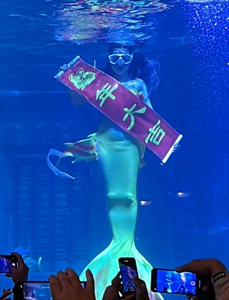 海北水族店【北海兩水族館，誰(shuí)更值愛(ài)生活的瀟瀟樂(lè)】 海北水族店【北海兩水族館，誰(shuí)更值愛(ài)生活的瀟瀟樂(lè)】 全國(guó)水族館企業(yè)名錄 第2張