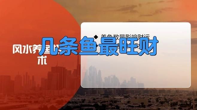 養(yǎng)魚養(yǎng)幾條最好招財【養(yǎng)幾條魚可以旺財】
