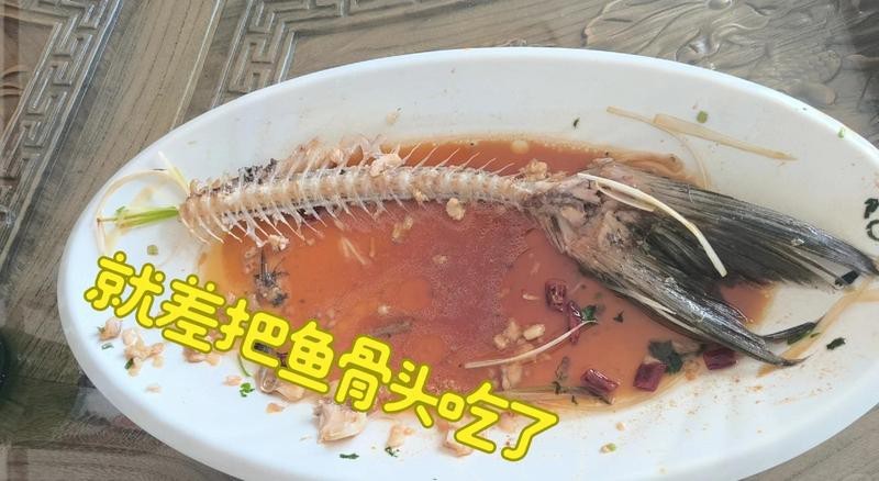 萊西龍魚店【澳大利亞“國寶魚”萊西養本地網友：沒吃過…萊西融媒】