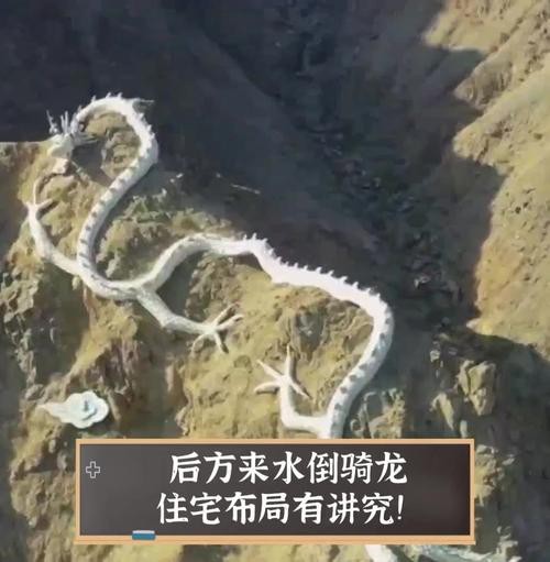 風水龍圖片【形勢派風水學中的“龍”指的是什么，它有什么作用】 風水龍圖片【形勢派風水學中的“龍”指的是什么，它有什么作用】 龍魚論壇 第25張