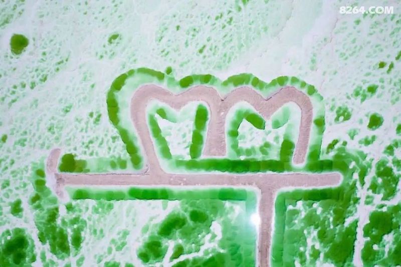 <strong><mark>茫崖</mark></strong>水族店【<strong><mark>茫崖</mark></strong>,最孤獨(dú)的城市,也藏不住人間煙火8264】