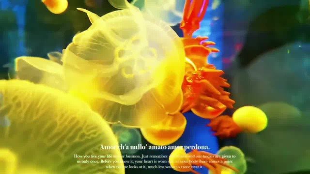 瀾滄水族店 瀾滄水族店 全國水族館企業(yè)名錄