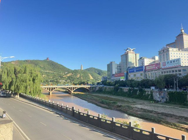 延安龍魚店【延安哪里可以買到龍魚】