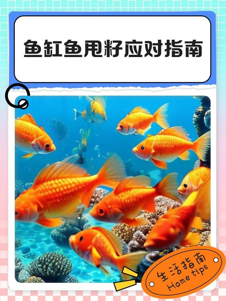 錦鯉甩籽后需要撈出嗎【錦鯉甩籽后是否需要撈出以及相關(guān)處理措施】