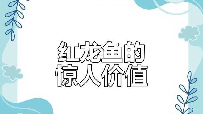 收藏級紅龍魚特點與價值【樂知研習社紅龍魚為何能拍出百萬高價揭秘其珍貴背后的原因】 收藏級紅龍魚特點與價值【樂知研習社紅龍魚為何能拍出百萬高價揭秘其珍貴背后的原因】 龍魚百科 第1張