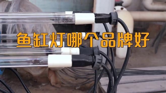 給魚(yú)增色用什么燈好【嗶哩嗶哩新手養(yǎng)魚(yú)魚(yú)缸燈怎么選從此選燈不再糾結(jié)】