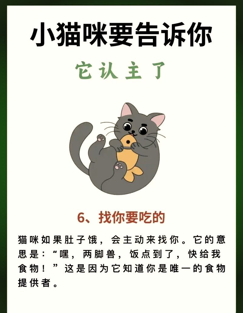 紅龍認主人的7個跡象