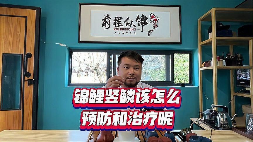 如何判斷金魚是否患有豎鱗病？【金魚豎鱗病（又稱立鱗病、松鱗病）是一種常見疾病】