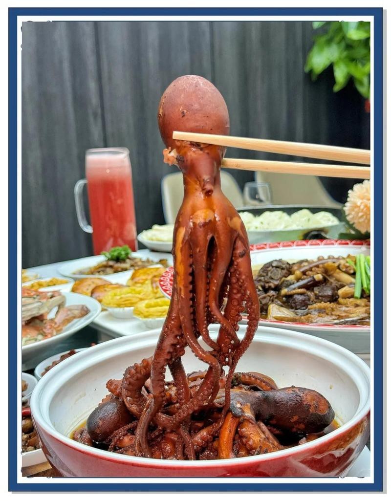漢沽龍魚店【南信水族龍魚貿易 漢沽龍魚店【南信水族龍魚貿易\