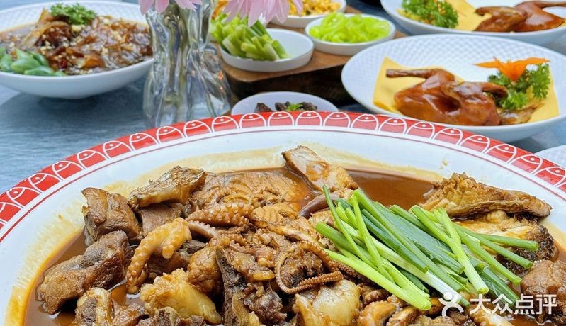 漢沽龍魚店【南信水族龍魚貿易 漢沽龍魚店【南信水族龍魚貿易\