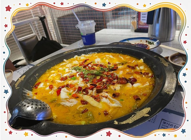 錦江龍魚店【成都錦江區的龍魚吧】 錦江龍魚店【成都錦江區的龍魚吧】 全國水族館企業名錄 第3張