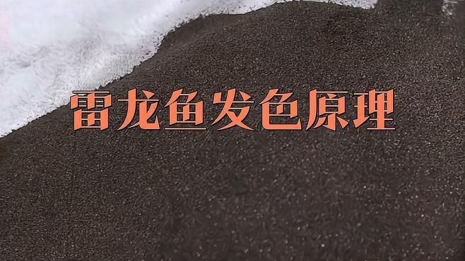 雷龍魚多大才發(fā)色好看【雷龍魚發(fā)色原理饞啥攻略】