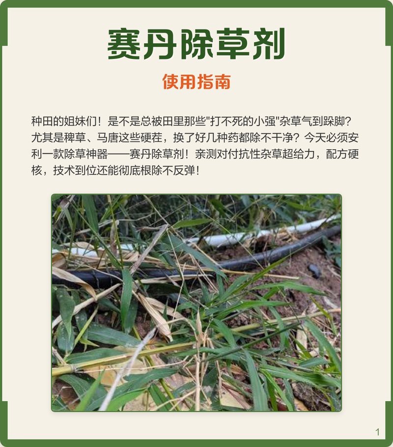 賽丹農藥哪里可以買到【賽丹農藥采購指南與使用全解析】