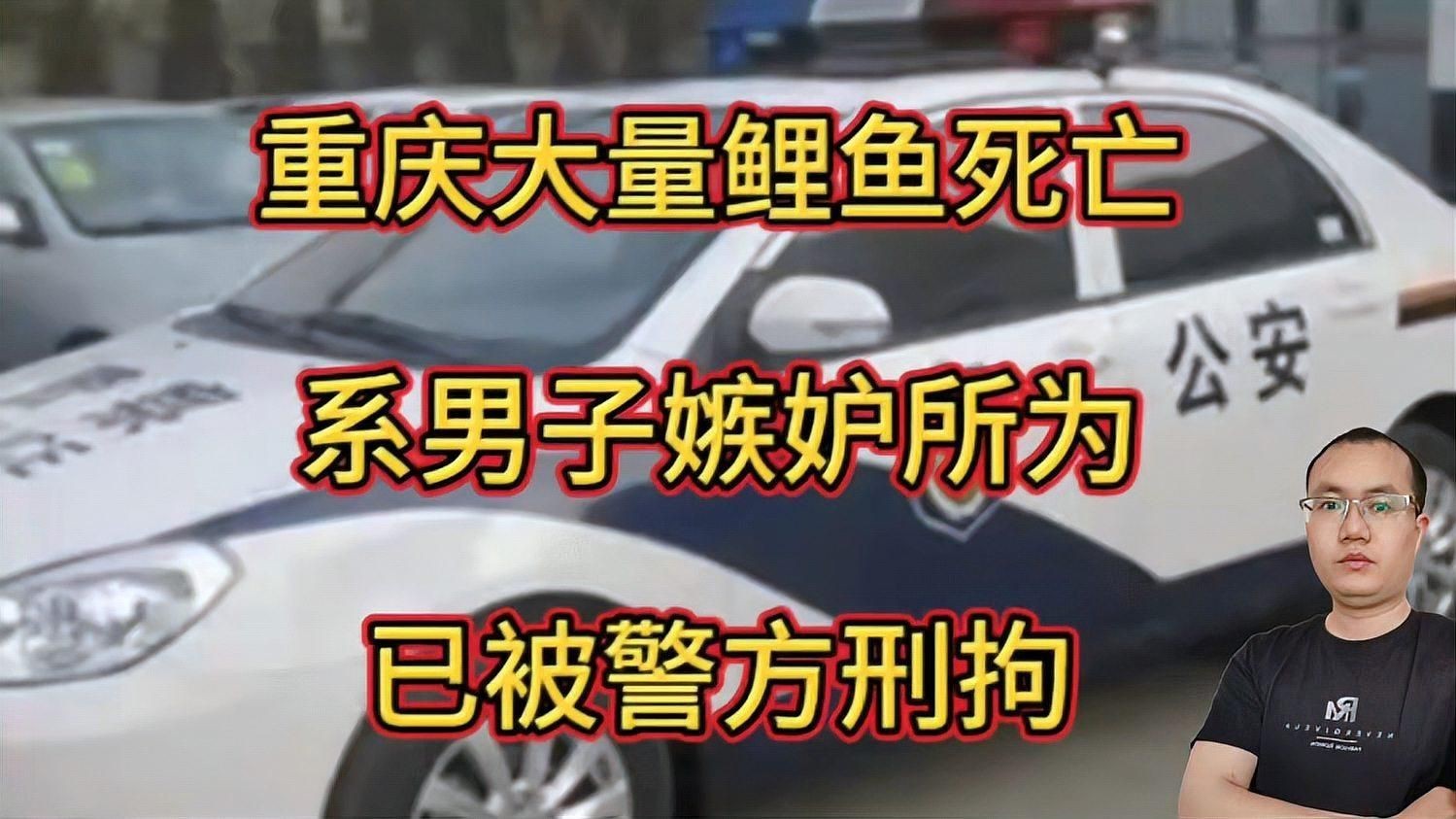 鯉魚死亡事件視頻【近期多起鯉魚死亡事件】