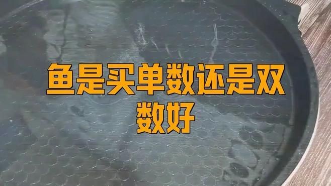 買魚買單還是買雙吉利
