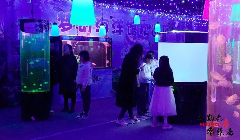 阿勒泰水族店【阿勒泰市擁有多家特色水族店鋪涵蓋觀賞魚銷售、寵物服務等業務】