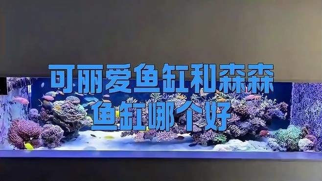可麗愛魚缸的優缺點【樂樂健康小屋，可麗愛魚缸紳士伴日醒】