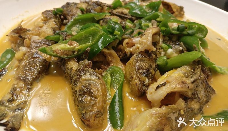 黃梅龍魚店【黃梅縣小池鎮最值得去的館子&gt香滿樓活魚館】 黃梅龍魚店【黃梅縣小池鎮最值得去的館子&gt香滿樓活魚館】 全國水族館企業名錄 第1張