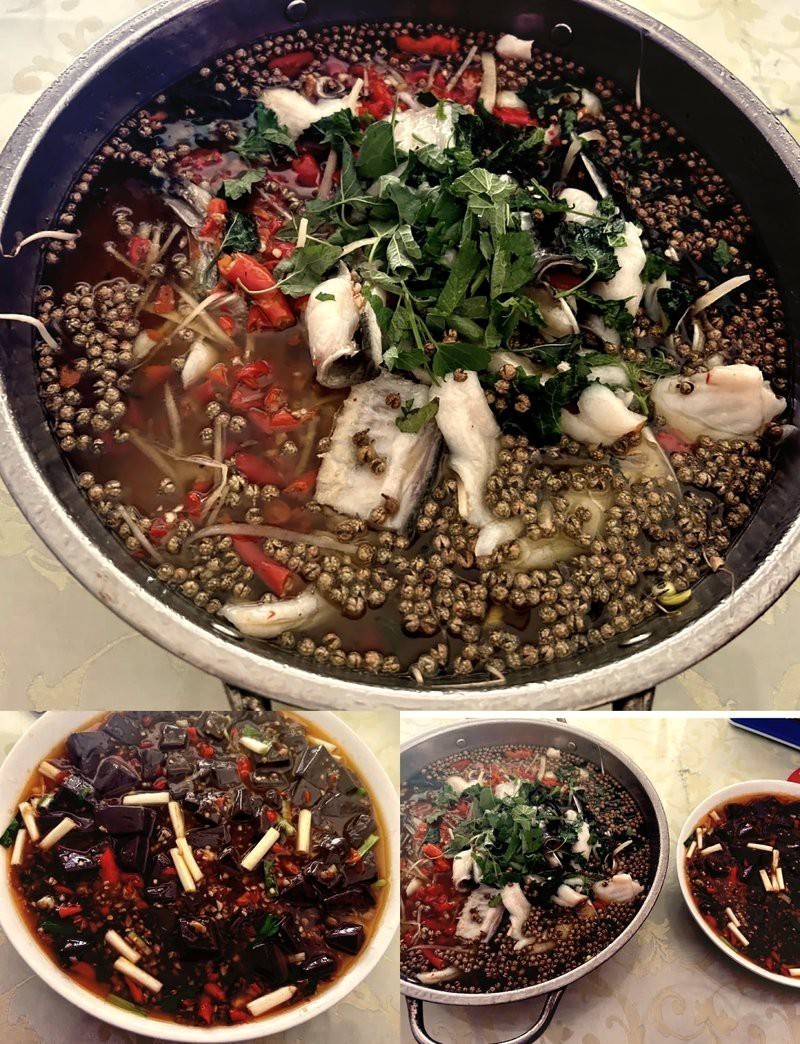 貢井龍魚店【貢井地區(qū)雖未直接提及\