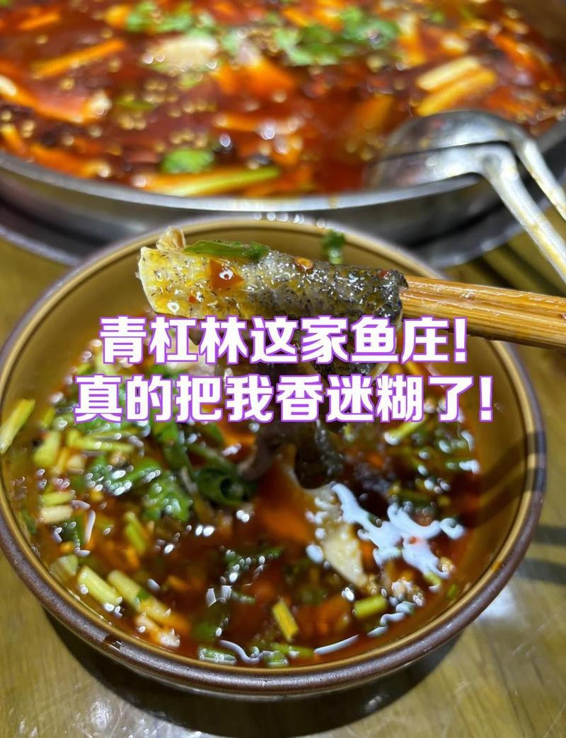 貢井龍魚店【貢井地區(qū)雖未直接提及\