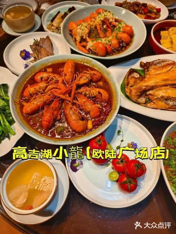 高青龍魚店【光明網高青龍魚店有哪些分店】