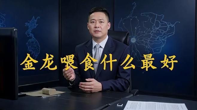金龍魚幼苗吃什么飼料？【金龍魚幼苗的飼料選擇】