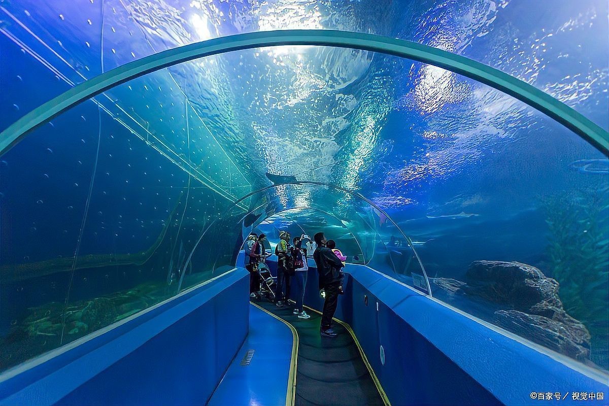 陜西水族店【西安水族館推薦】