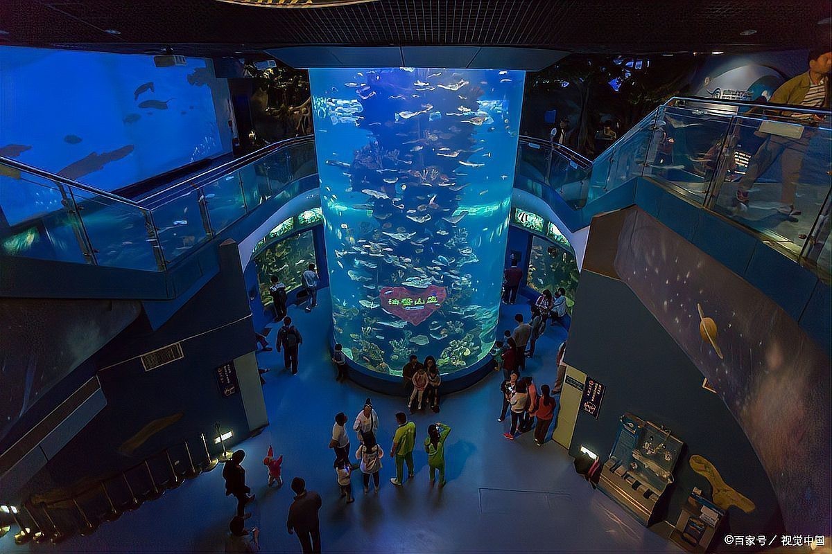 陜西水族店【西安水族館推薦】