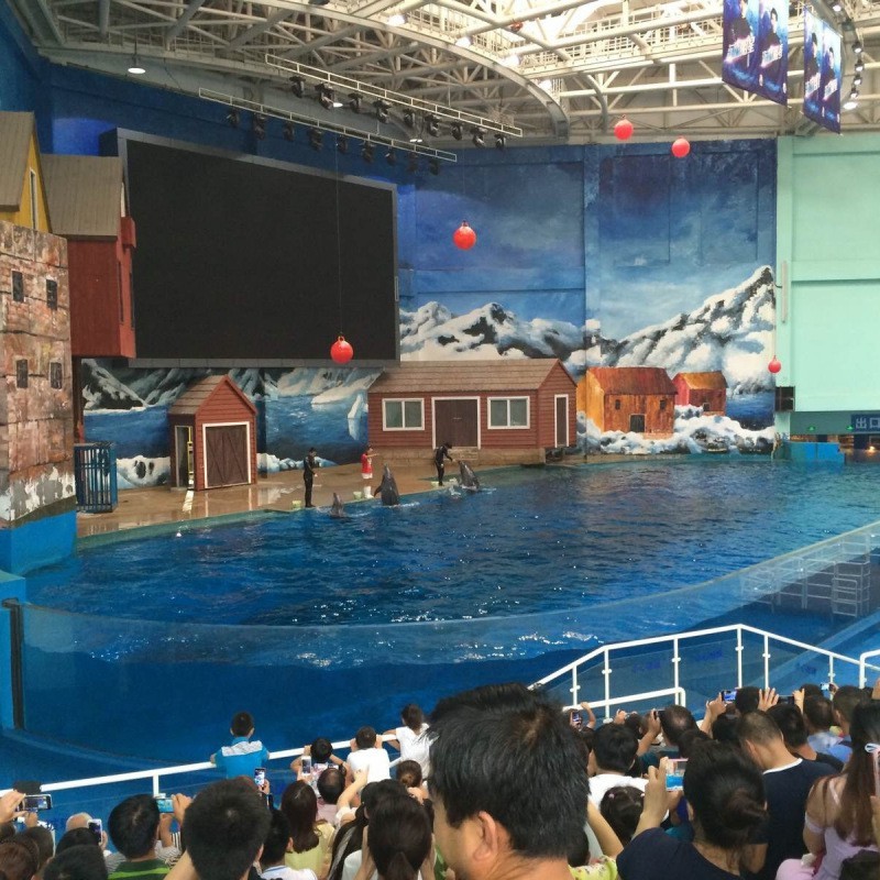 陜西水族店【西安水族館推薦】