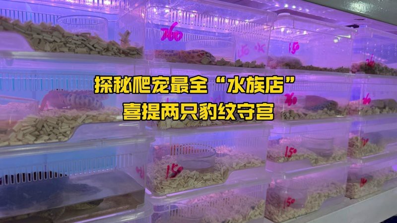 靈川水族店【靈川縣花容魚貌水族店何時注銷】