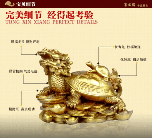 龍龜擺放的最佳位置圖【綜合風水理論與實際應用的詳細指南龍龜風水理論與實際應用】