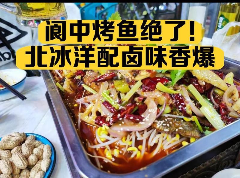 閬中龍魚店【閬中市人民政府江小漁鮮魚火鍋價格如何還有哪些值得推薦】