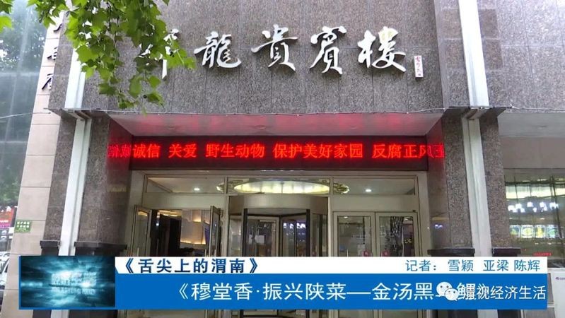 陜縣龍魚店【陜縣龍魚養(yǎng)殖與餐飲行業(yè)的相關(guān)信息】