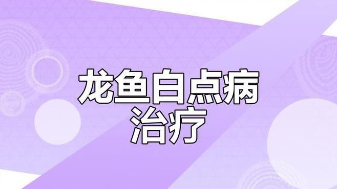 有哪些常見的龍魚寄生蟲?【智能模式回答完成調用工具:百度健康】 龍魚百科 第1張 有哪些常見的龍魚寄生蟲?【智能模式回答完成調用工具:百度健康】 有哪些常見的龍魚寄生蟲?【智能模式回答完成調用工具:百度健康】 龍魚百科 第1張