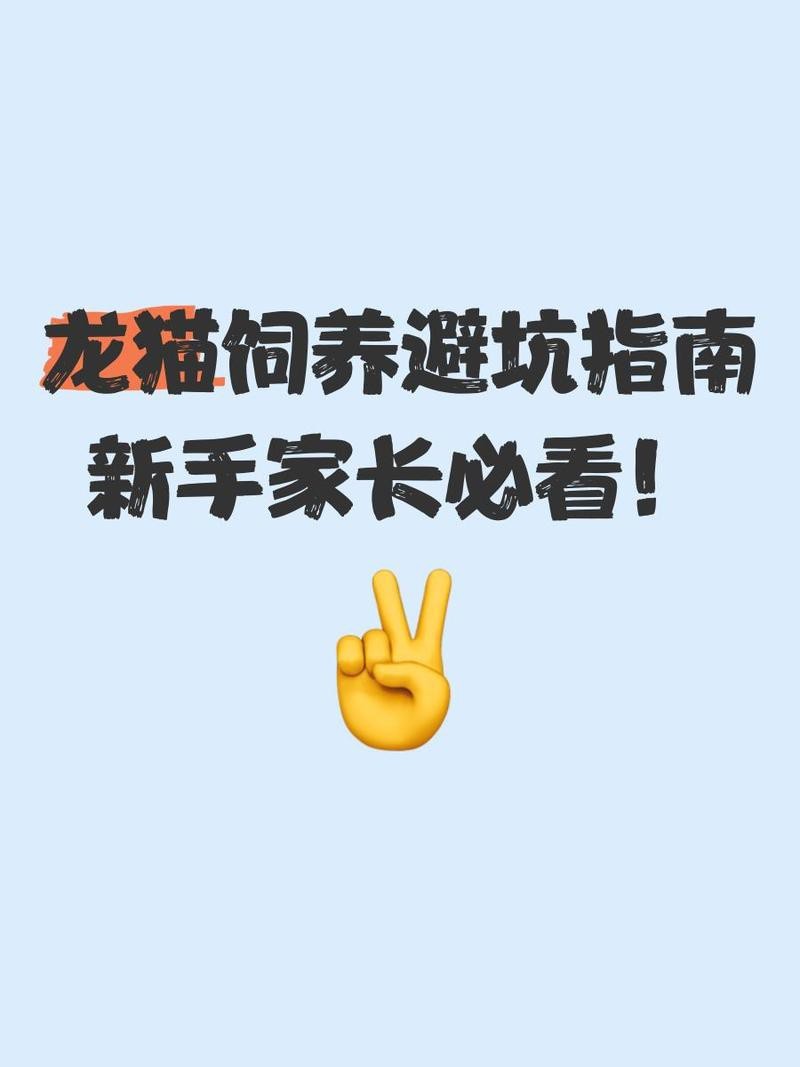 龍貓最忌三種東西【龍貓飼養三大禁忌全解析】 龍貓最忌三種東西【龍貓飼養三大禁忌全解析】 龍魚論壇 第5張