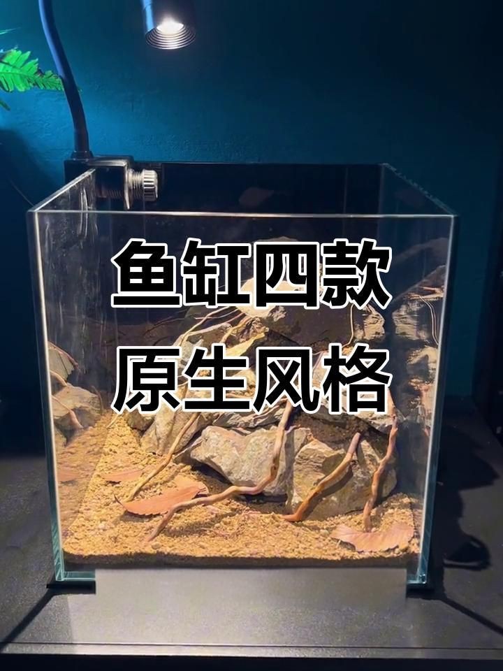 觀賞魚(yú)缸布置靈感【5種驚艷魚(yú)缸造景秘籍:新手也能打造會(huì)呼吸的水下仙境家居美學(xué)館】